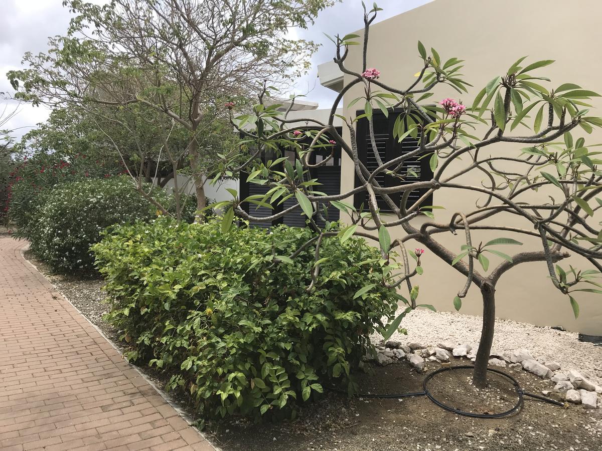 Blue Bay Resort Garden Sint Michiel Luaran gambar
